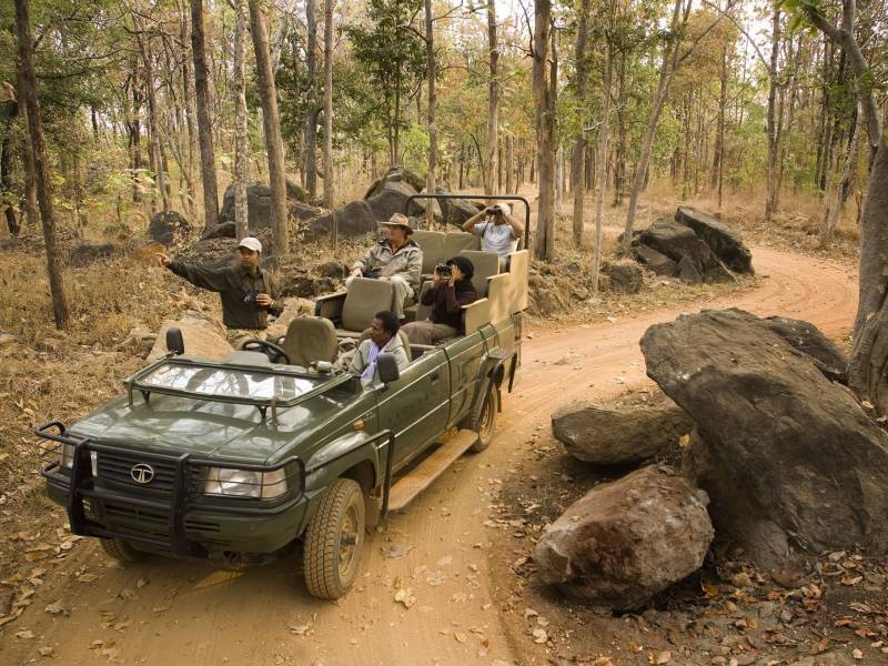 Corbett Jeep Safari Tour
