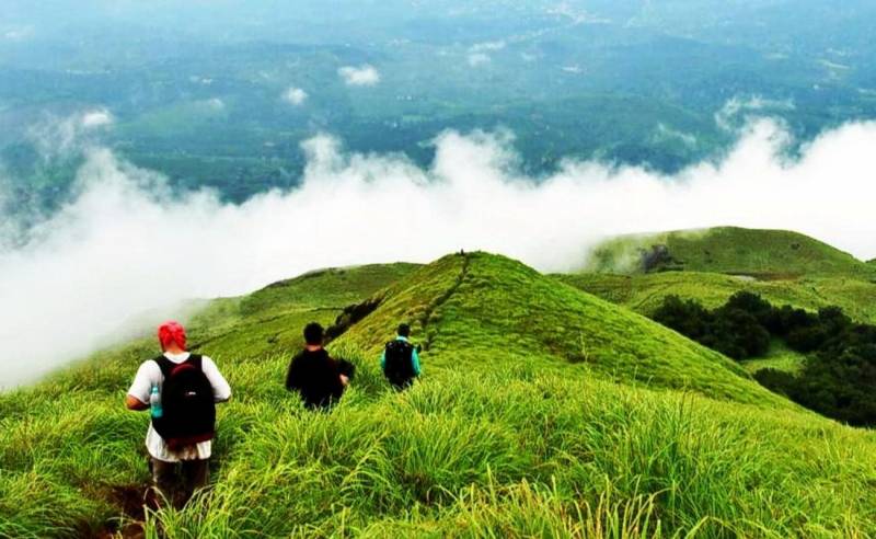 The Best Of Wayanad Tour Package