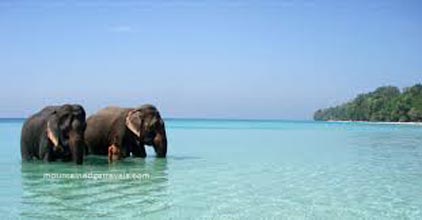 5N 6D Andaman Holiday Tour Package