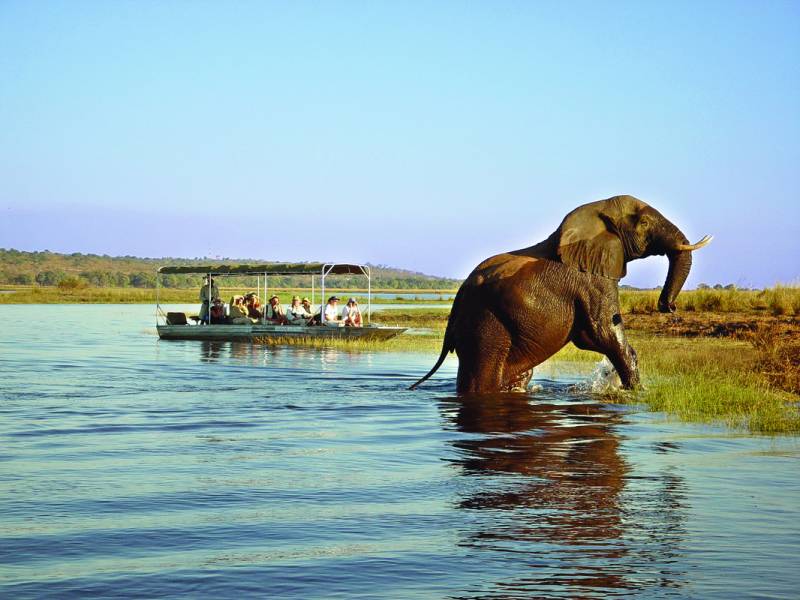 Safari And Nature Tour Of Botswana