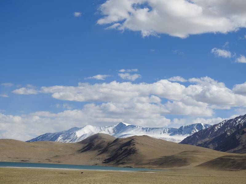 Ladakh Paradise Tour