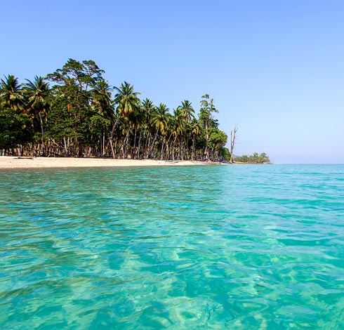 Best Of Andaman Port Blair- Neil Island- Havelock Island Tour