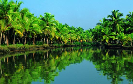 Kerala Paradise Tour Image