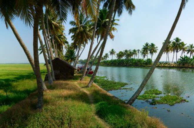 Backwater Elephant Trip