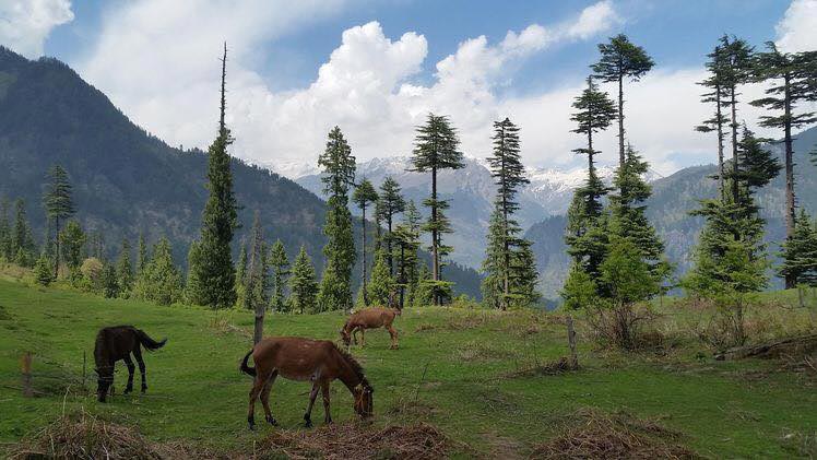 Shimla - Manali Adventure Tour