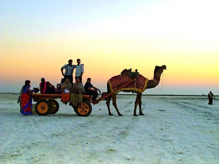 Rann of Kutch Tour Package
