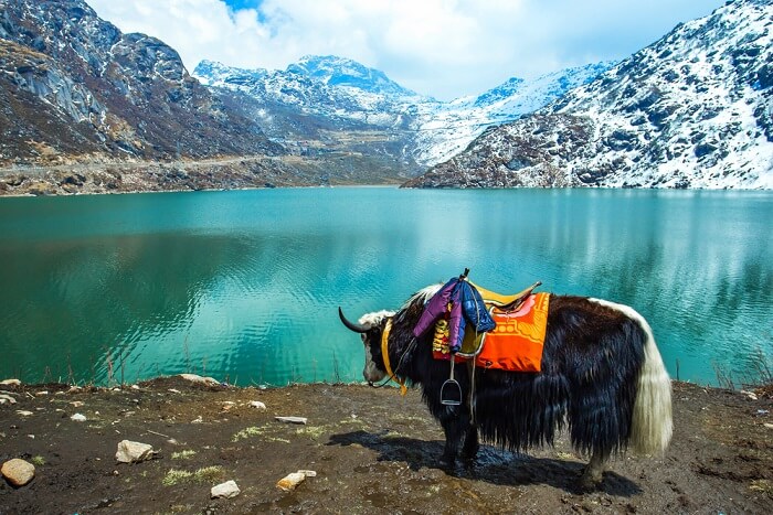 Sikkim Silk Route Package