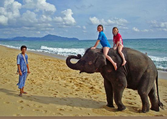Infinitesimal Andaman Tour