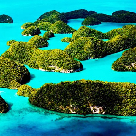 Minuscule Andaman Tour