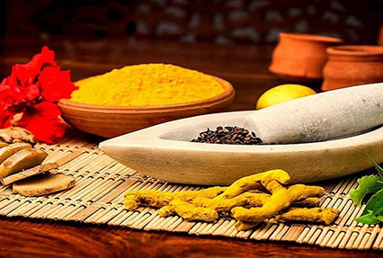 Spices Of Kerala & Ayurveda Tour