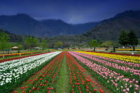 6 Nights 7 Days Kashmir Tour Package