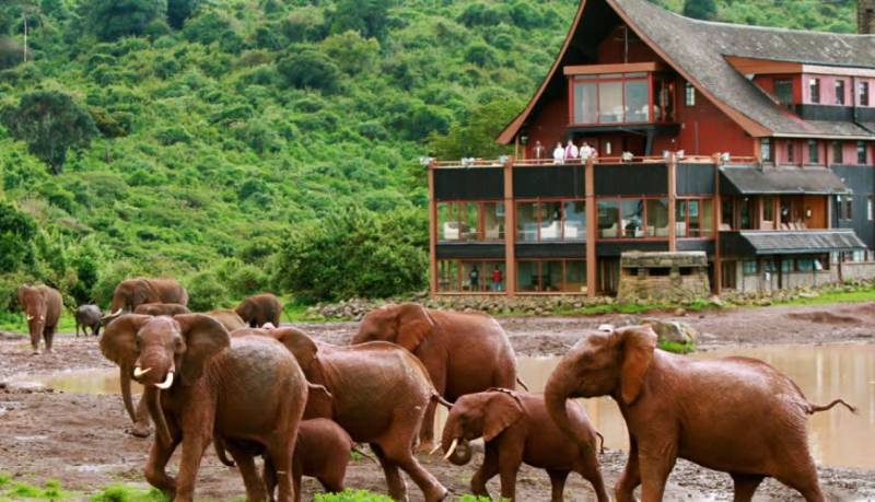 Kenyan Safari With Aberdare Tour Package