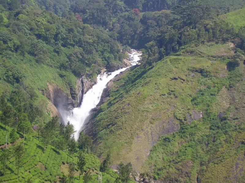 Munnar Kerala Tour Package