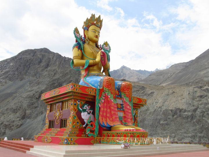 In The Meadows Of Leh- Ladakh Tour Package