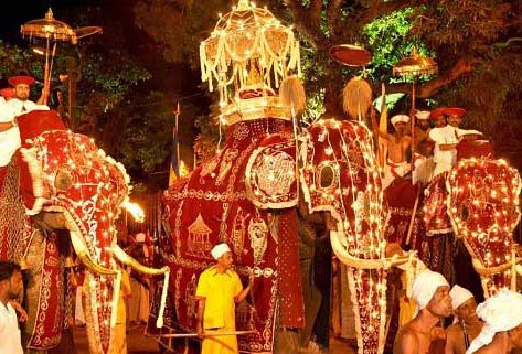 Discover Sri Lanka’s Leisure Vacation Tour