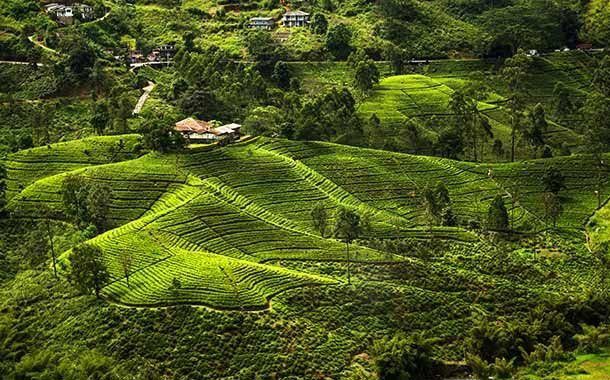 Discover Sri Lanka’s Leisure Vacation Tour