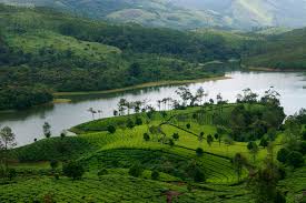 Kerala Special Tour- Munnar (2n) - Thekkady (1n) - Kumarakom (1n)  Package