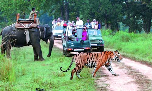 Serene Uttaranchal Tour Image