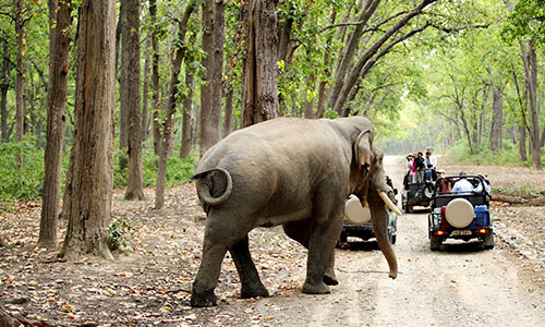 Enchanting Uttrakhand Tour Image