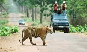 Taj And Wildlife Tour With Jaipur