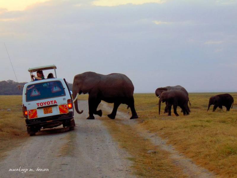 3 Days Tsavo East and Taita Hills Saltlick