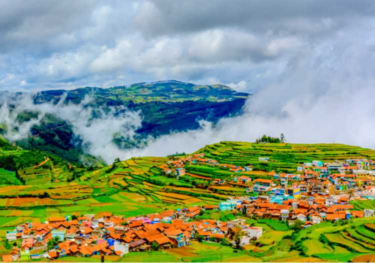 Together in Coorg and Ooty - With Flights