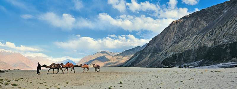 Amazing Ladakh Tour