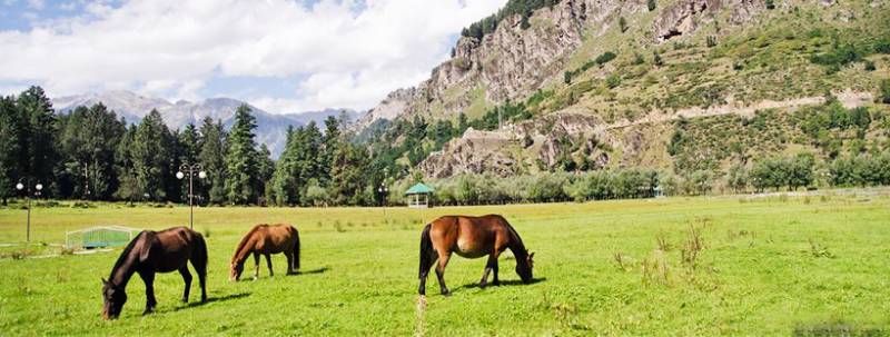 Summer Special Kashmir Tour