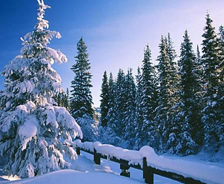 Shimla Manali Honeymoon Package