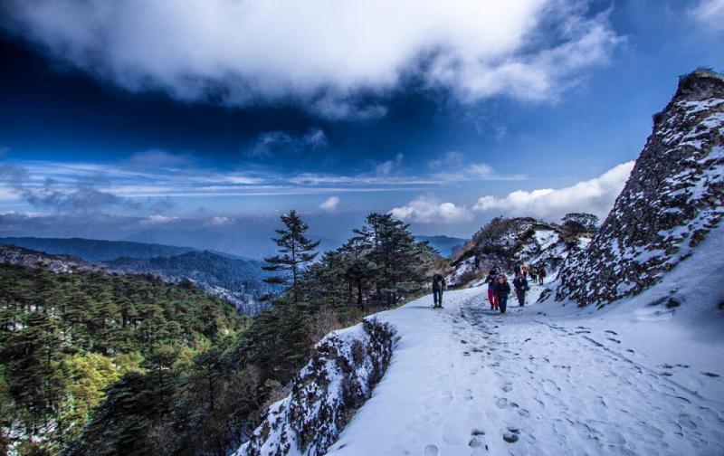 8 Days Sandakphu Phalut Trek Tour