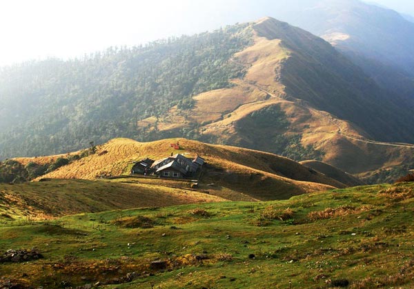 8 Days Sandakphu Phalut Trek Tour