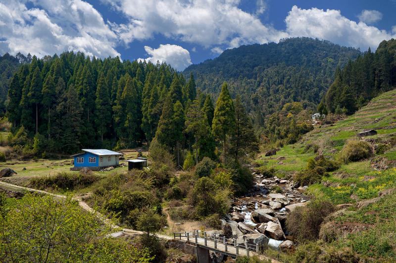 8 Days Sandakphu Phalut Trek Tour