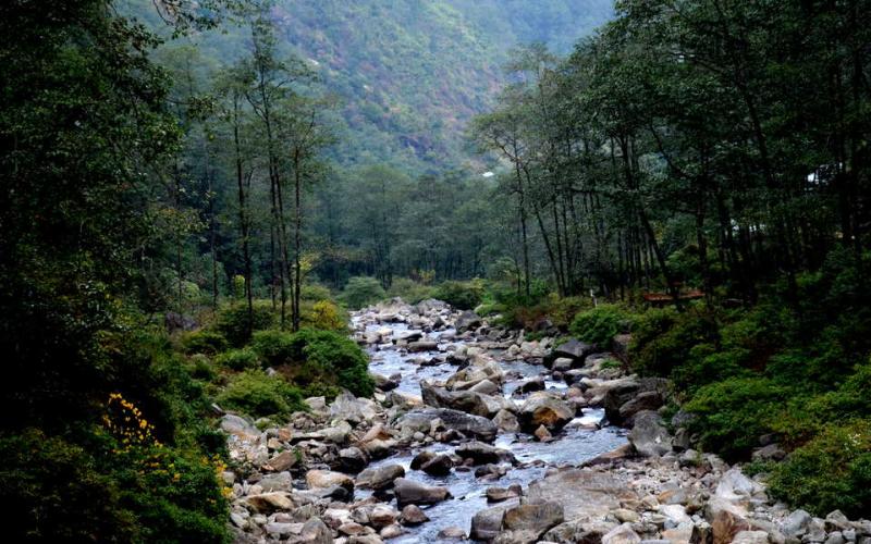 8 Days Sandakphu Phalut Trek Tour