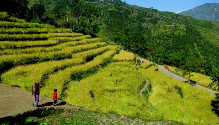 Bara Mangwa Tour Packages