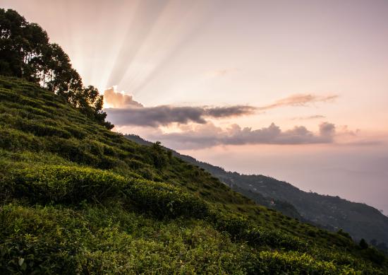 Bara Mangwa Tour Packages