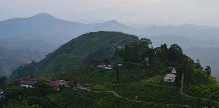 Bara Mangwa Tour Packages