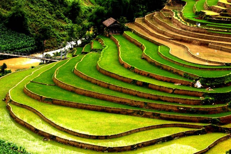 9 Days Discover North and Centre of Vietnam Package Tour