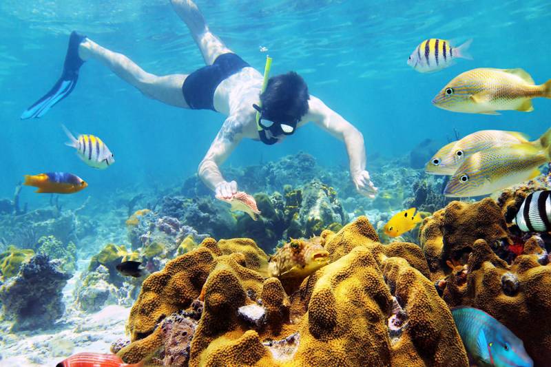 Explore Cham Island - Fishing & Snorkeling Tour