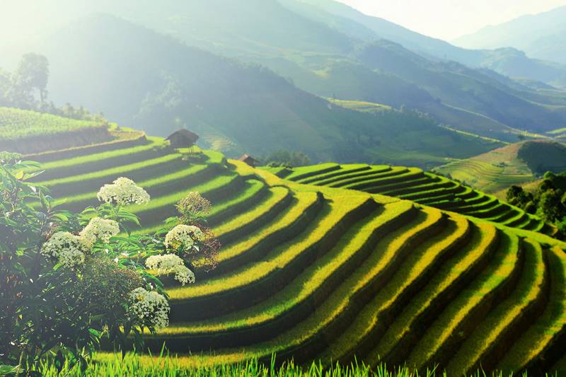 Vietnam Twin Cities 9 Days 8 Nights Tour