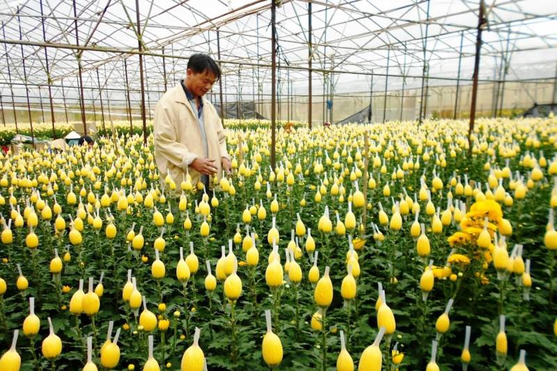 14 Days Ultimate Vietnam Adventure Tour