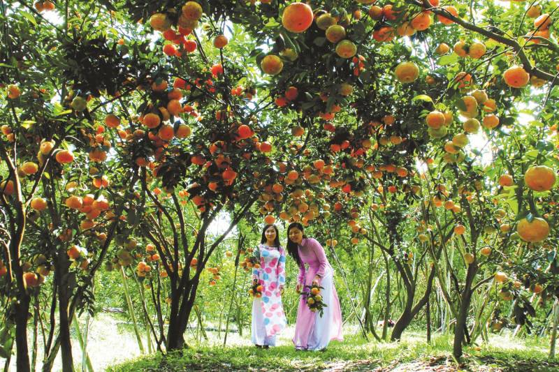 10 Days a Glimpse of Vietnam & Laos