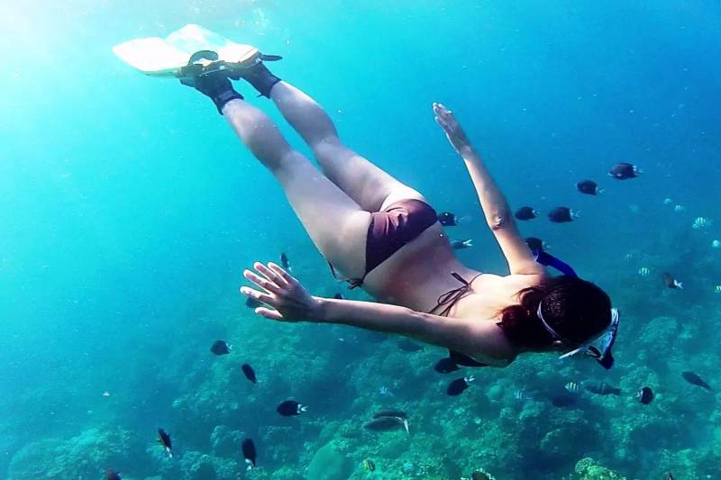 14 Days Gourmet Food and White Sand Beaches