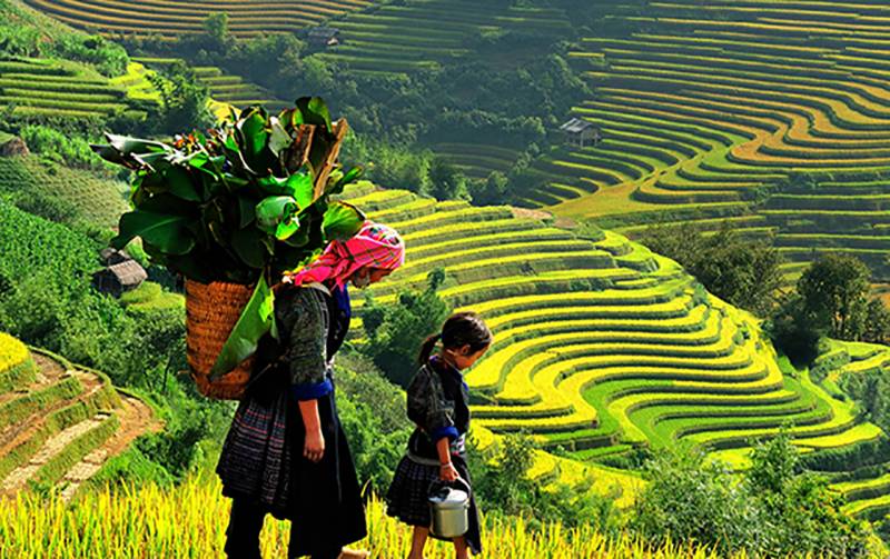 12 Days Culture Treasure & Culinary Vietnam