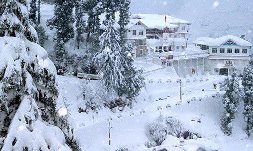 Holiday In Shimla And Chail