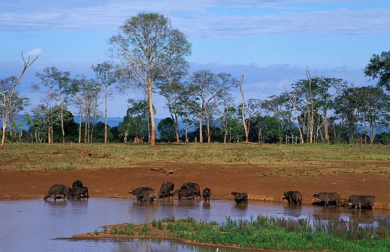 11 Days/10 Nights Kenya Safari Tour and Beach Stay