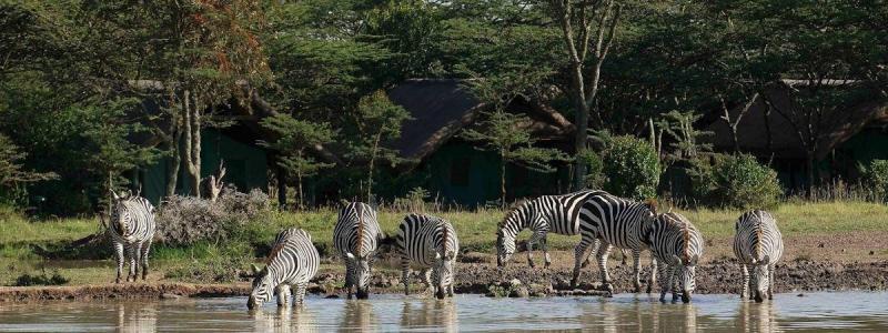 11 Days/10 Nights Kenya Safari Tour and Beach Stay