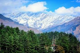 Volvo Honeymoon -manali from Delhi