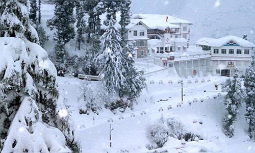 Shimla - Kufri - Manali - Rohtang Pass Tour