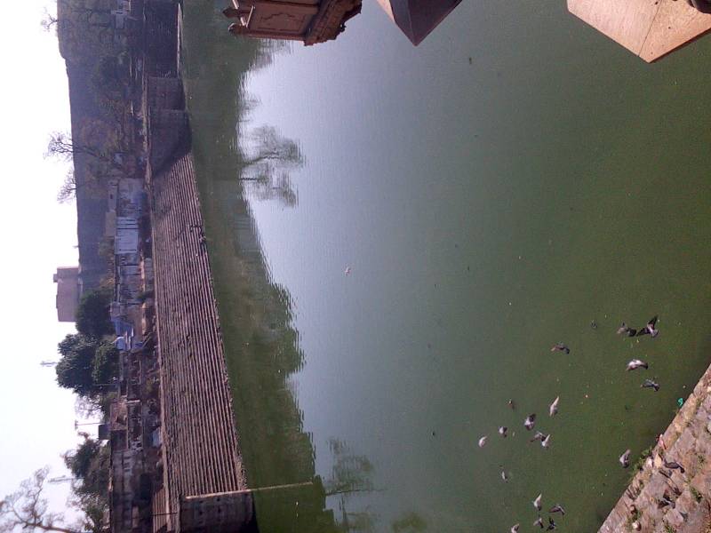 Shri Braj Mandal 84 Kos Yatra Package