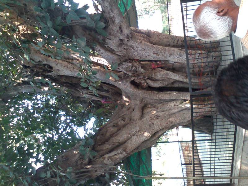 Shri Braj Mandal 84 Kos Yatra Package